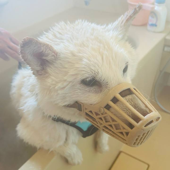 22bb7d7b 3a03 402b a85a 2a547176c8ee 1684899529157