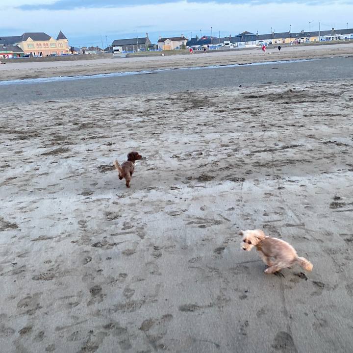 22bb8adb d373 484d 97dc 6f360f6d520f 1627896399896