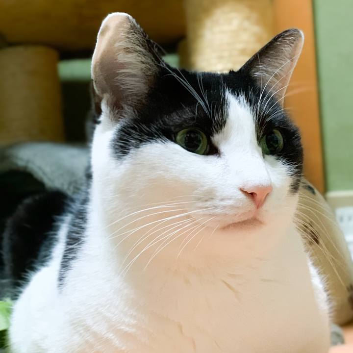 22bb8e48 03bc 4eb9 a8e1 45abc7ada252 1580175435073