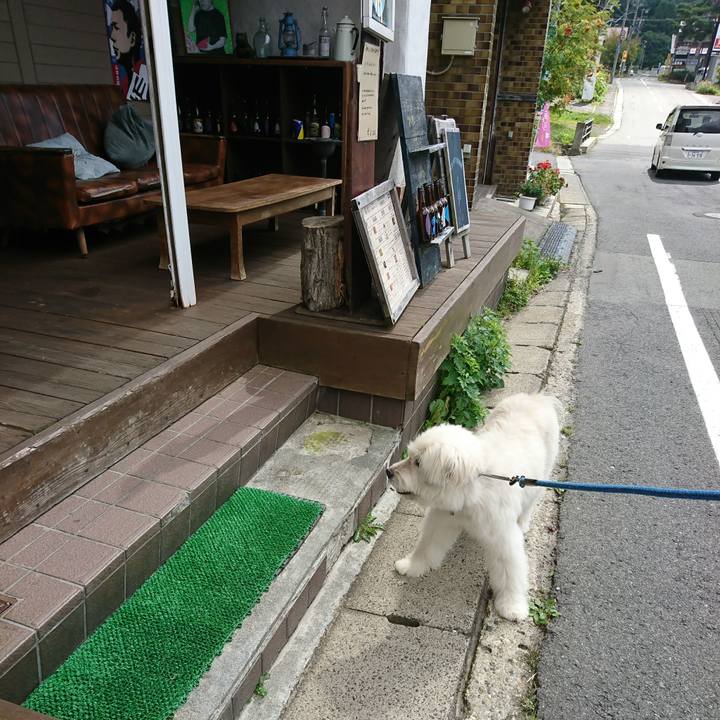 22bb8e49 6db4 4ded bb20 a81124f8b061 1568545424311