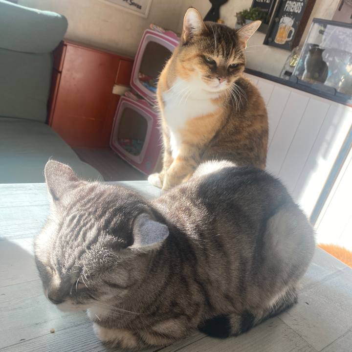 22bbba2a 8076 4373 8c72 1f87642b199e 1671927440377