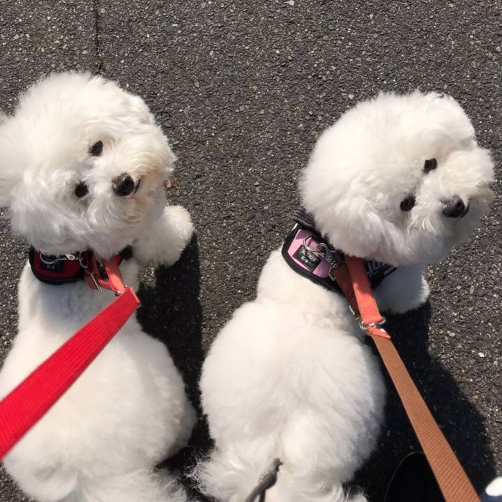 22bbf46c d87b 4e55 b2c9 645ea879a4d2 1551416981384