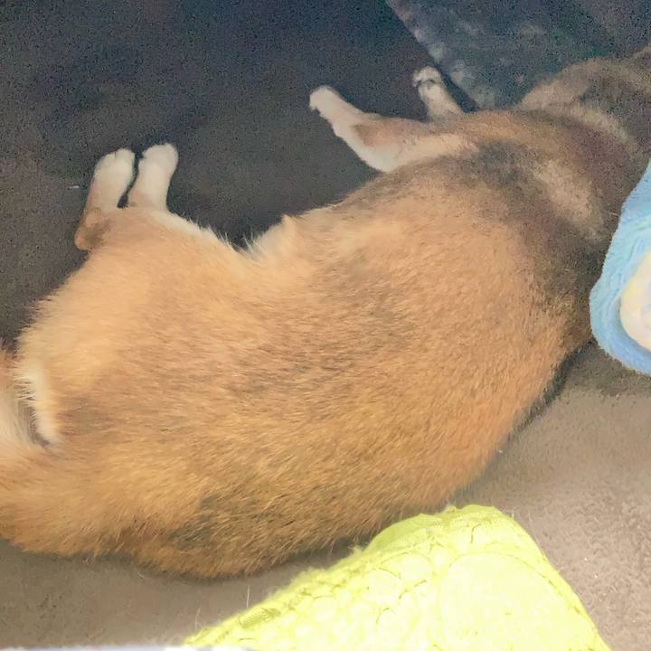 22bc49c8 4db2 48cc b3a7 ef15df871be5 1704717291692