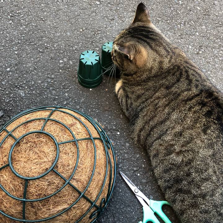 22bc7f89 5ce6 410c be4d d41351198b55 1540896446160