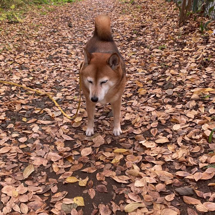 22bc89db 89ed 4ed8 aba6 01a0a217bf12 1637194310264