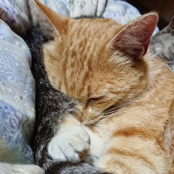 22bca4e1 e987 44c1 aded f27d19c64553 1589027853901