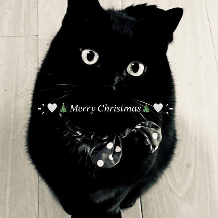 22bcab92 7fe6 406f b1bf 3fdee26dd824 1766553799880