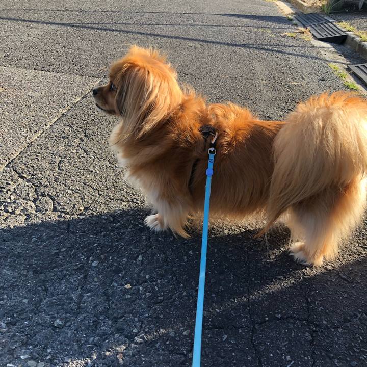 22bcb039 ae13 47fa b71a 33cc91cf6edd 1567811132249