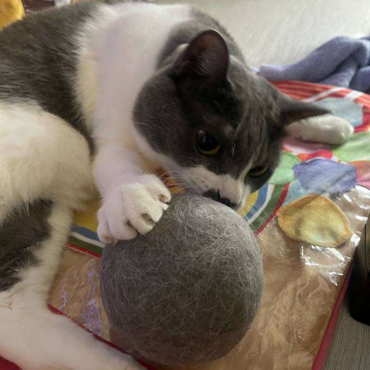 22bcce54 d6ba 4ee7 a3a3 49bbeb36742c 1754782905008