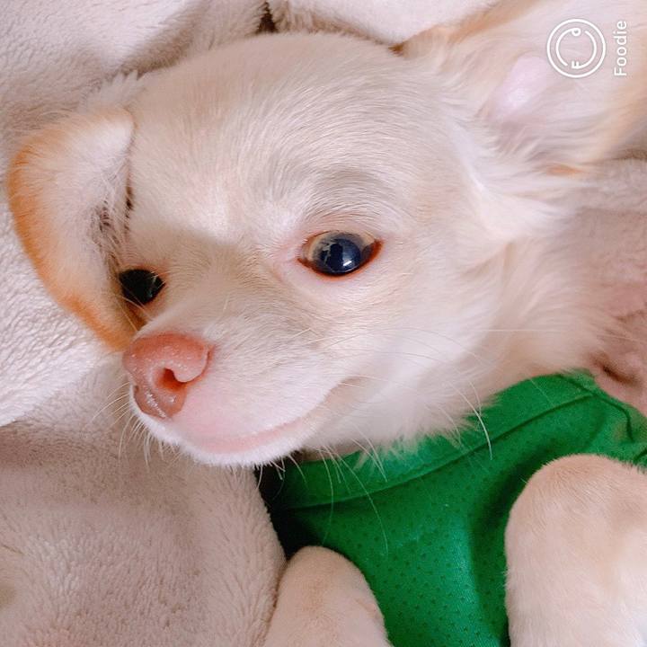 22bce27d 02bd 4350 a44b 373d00d9dc75 1598839524719