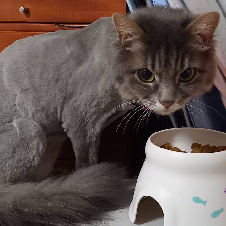 22bcf5d8 7e90 4b30 bce8 47076db36396 1651783703522