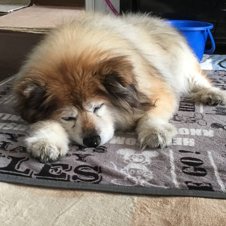 22bd0314 4ded 406e 9022 98103a86ec4d 1599067516130