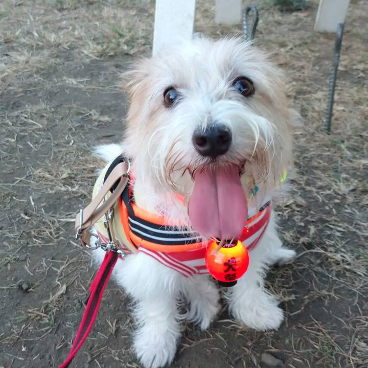 22bd0c2b 91c6 42cc 835d c3ef33171622 1756034851147