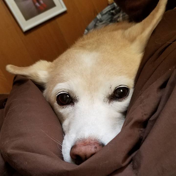 22bd3371 1305 45e5 87e3 51ec3b425ba8 1582937940799