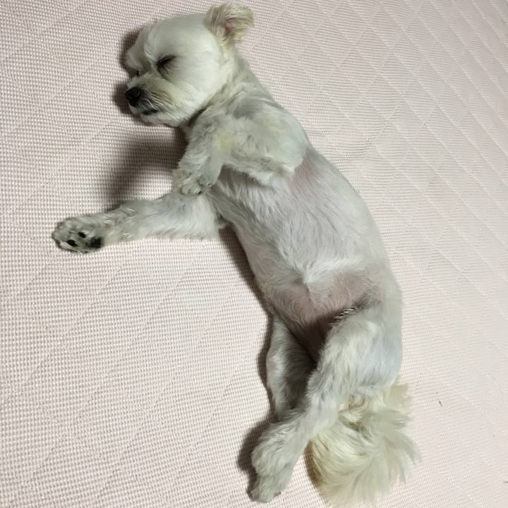 22bd344b d42b 4450 bdcd 45fcd0ded527 1564750510824