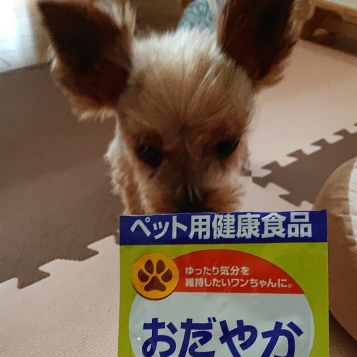 22bd42f0 2536 4089 9a1d acf24926355d 1563678610812