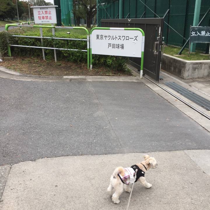 22bdf5c8 2bf4 40de a419 de386145715a 1539586199258