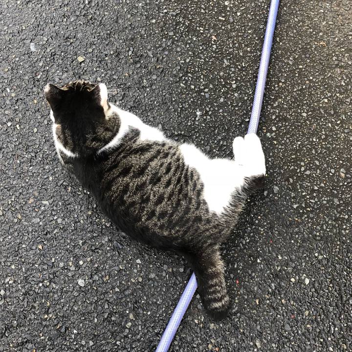 22be7362 c10d 42a2 825d c7ff4c19560a 1535710894747