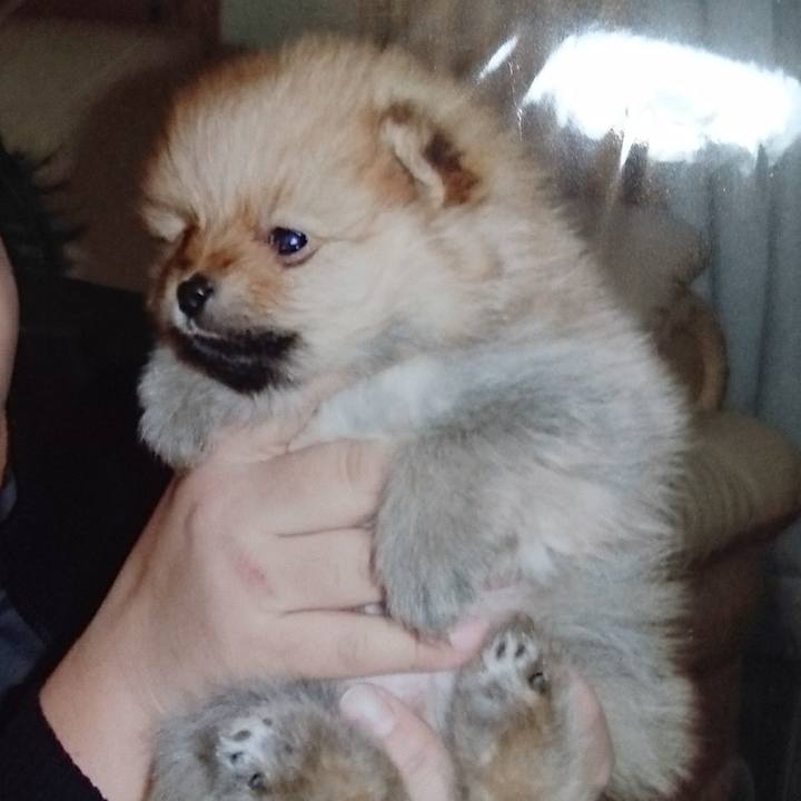 22bee655 95d5 4f89 b2b7 af3e4f281f2a 1507901625894