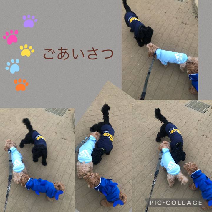 22bee7e0 e98d 40c1 be88 962d5063dfac 1647777581854