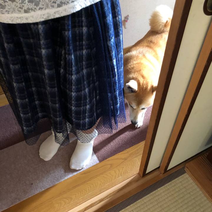 22bef135 d665 4dda 8a3f cb11ad5b0f77 1567729784544