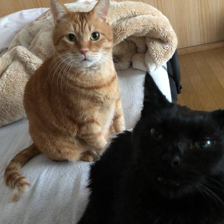 22bf14d5 0f22 4e2d a82c 7d028aa53dec 1610868162071