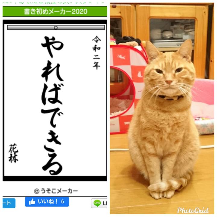 22bf163d f359 4945 96d9 a058ac867e04 1577928365331