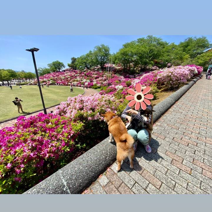 22bf1fcf 0bf5 45d5 9976 a4259822d6c3 1620229623010