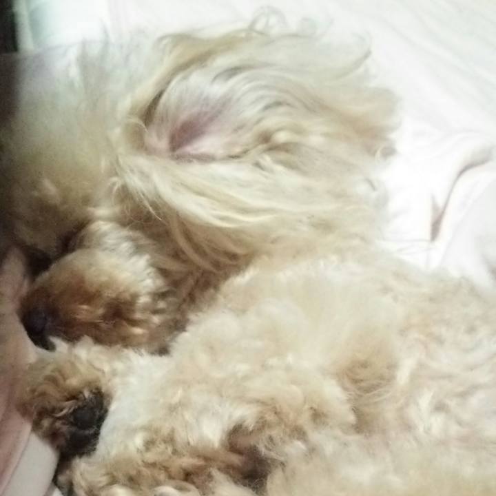 22bf2185 6193 4db5 90f0 efe3b04e04c5 1561122084581