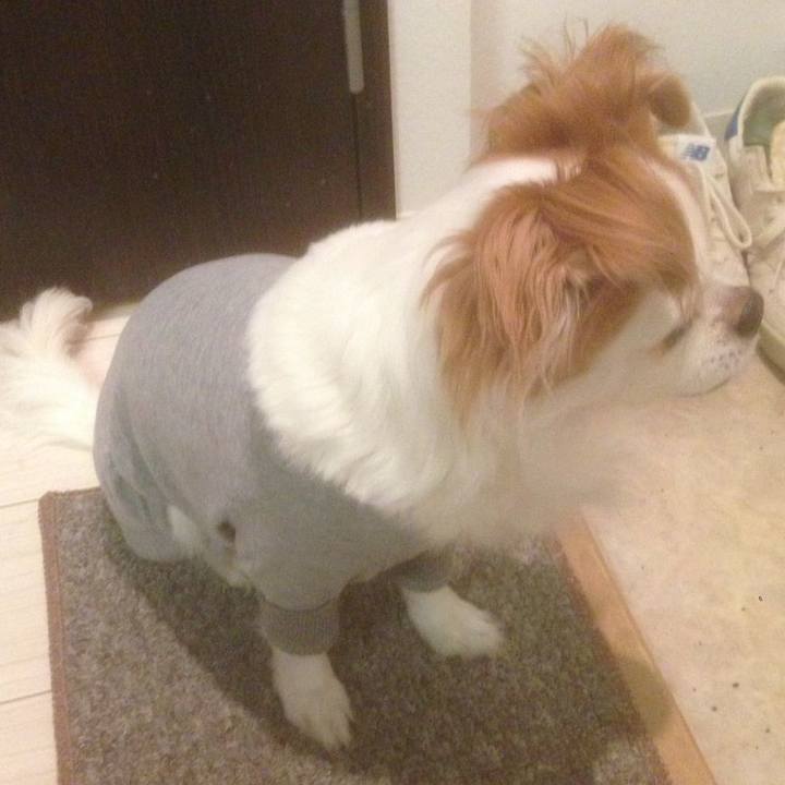 22bf3aff e696 495b 9dcd cc99fd05730d 1528979368485