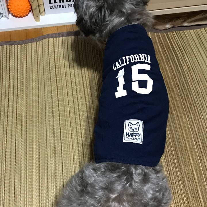 22bf609a d0ae 4b64 add6 fc7f21d2eb4e 1533305306753