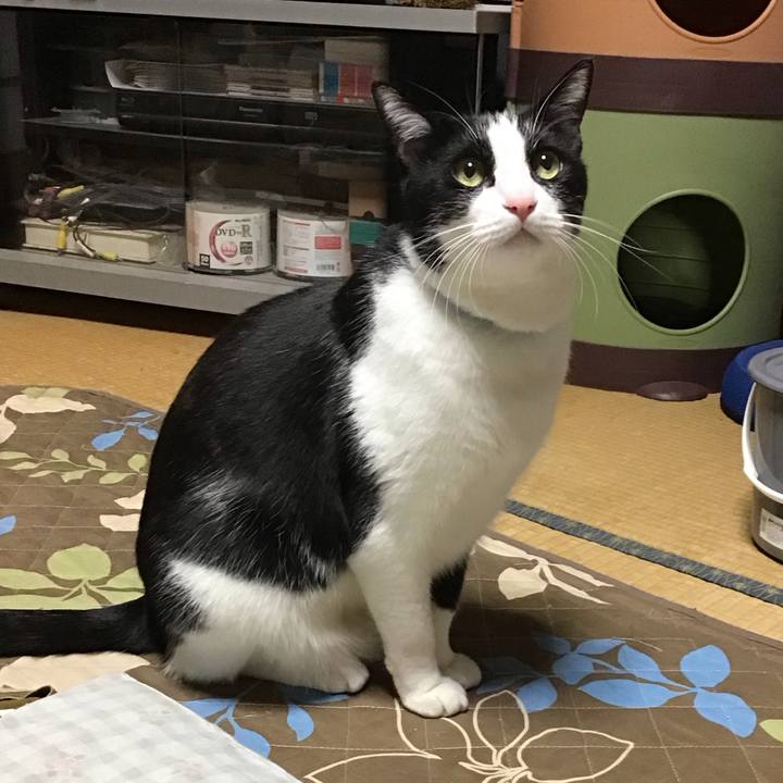 22bf76a6 4692 4913 9100 c59ec899268a 1734427808527