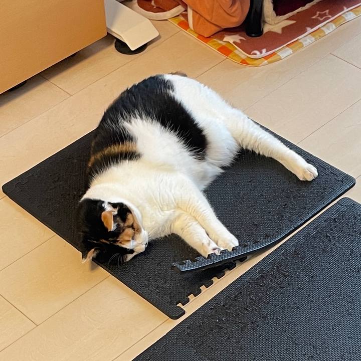 22bf89bd f0b5 4839 a64b 8d7718ed4181 1749683457979