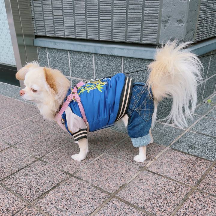 22bf9168 ea8e 46ed 92e6 9173ec710190 1700985777467