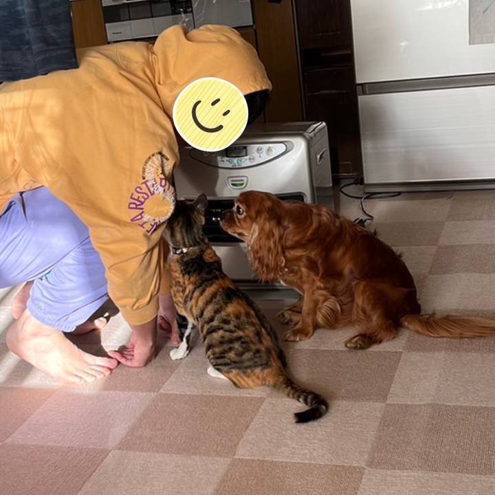 22bfd753 a496 4b4a ac57 cc8c2561dc87 1670819466509