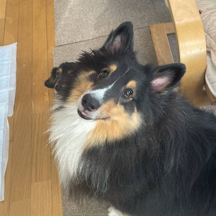 22bff0f7 7558 43a1 bf5e 1fb495989584 1631138495191