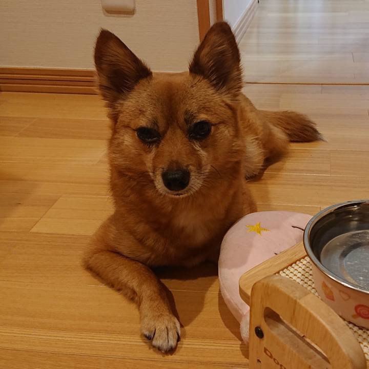 22c01604 3373 424f 9563 4aab51e13024 1560961454332