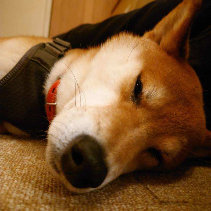 22c04cf1 5a00 496e a696 3adf30be9595 1764066291641