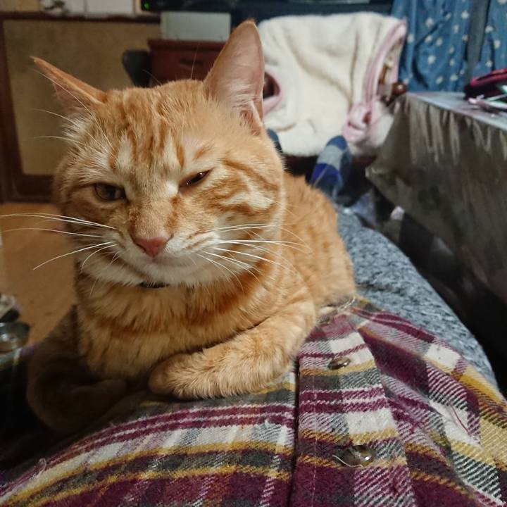 22c06d28 448b 4441 b1a3 efd190046ae1 1645442579666