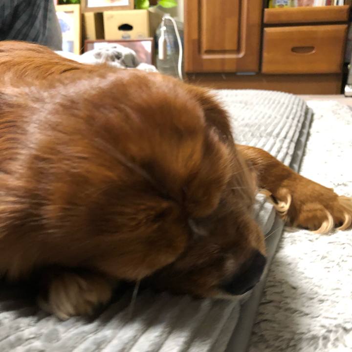 22c0782f cc57 44b6 b1ce 4cc78e962668 1642630840745