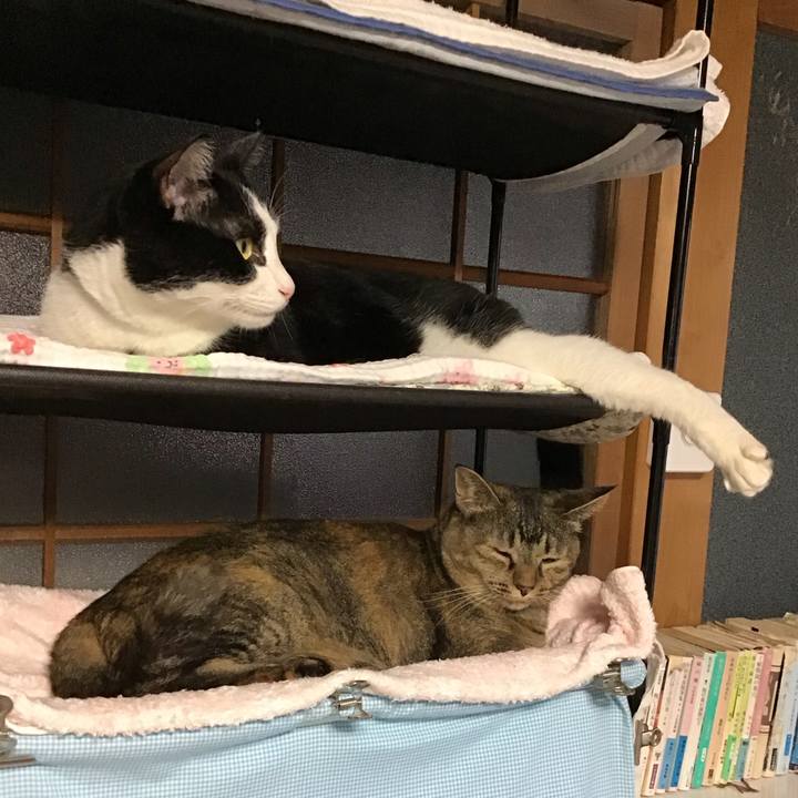 22c081e3 e024 4212 8556 27619d9e734a 1757922225458