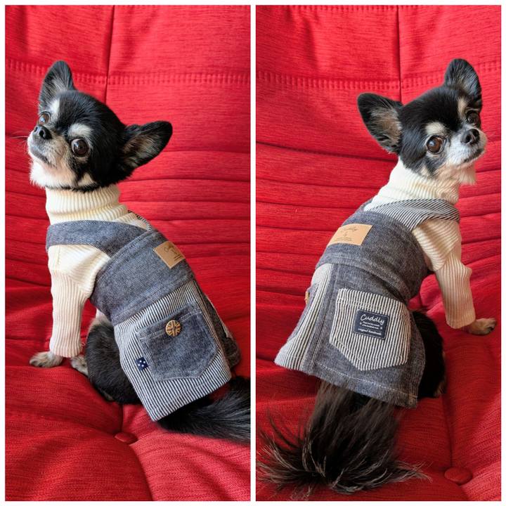 22c0ad13 0585 452e a726 96b784eedd68 1764633710679