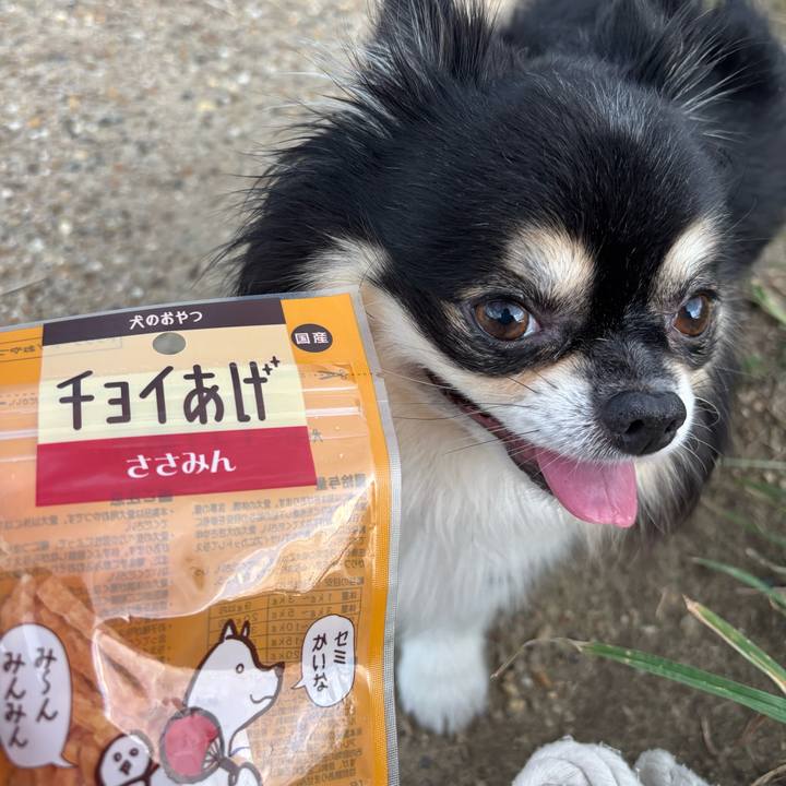 22c0d172 b49b 4afc bd7b 1c8002a61a89 1759242741394