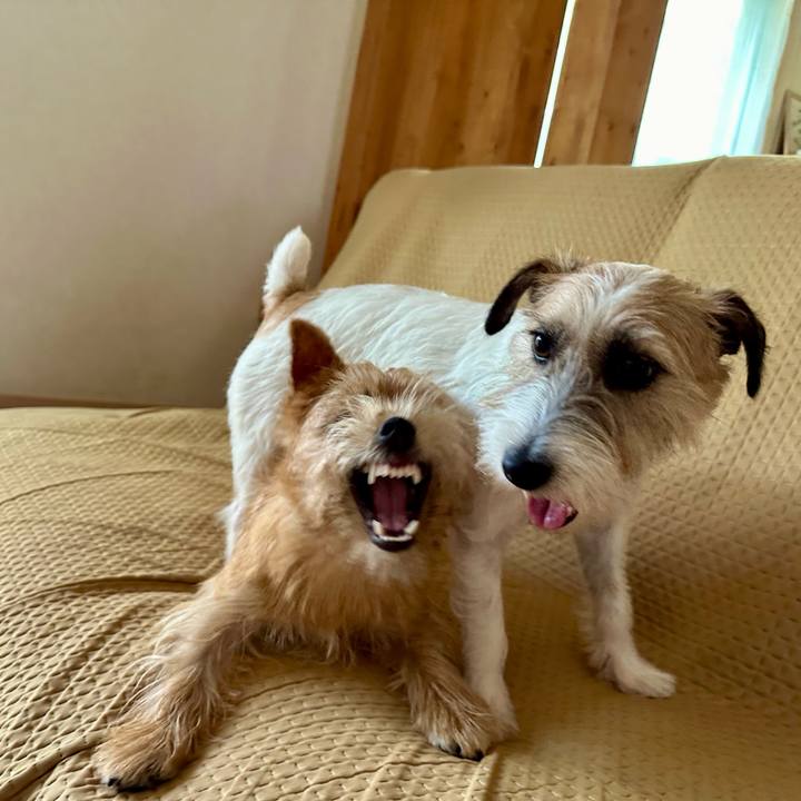 22c10809 e4eb 48a1 8378 d720a1822852 1720936523854