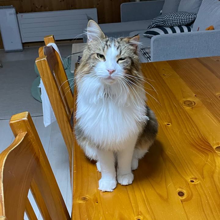 22c11a1a bd67 4aa7 80ce b2f38116fc91 1667332305397