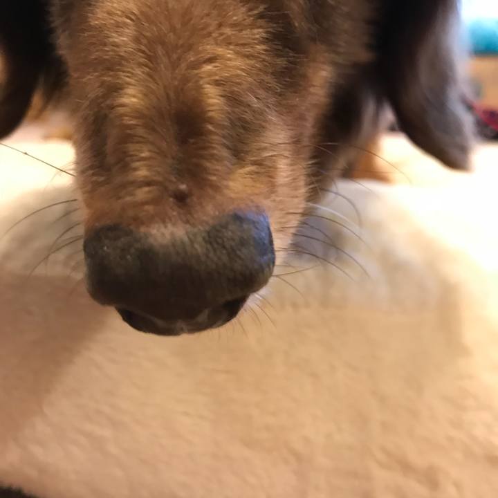 22c185c7 0156 4807 9ee1 6fee6f8ea755 1523436416617