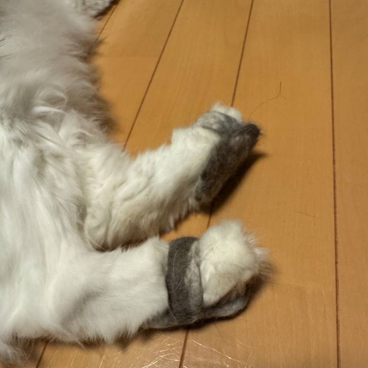 22c1916c a975 4e7c a9f9 dbb4c702112f 1764693417938