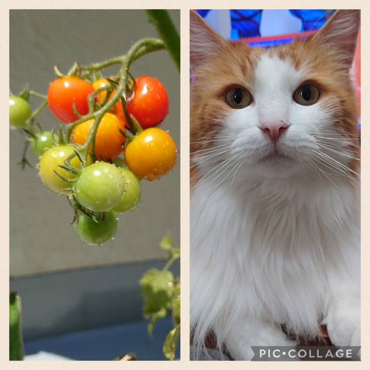 22c1a2ee 1972 4970 94a8 34f317c0afed 1656407013418