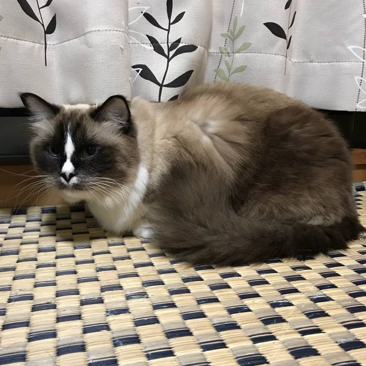 22c1a72e f17d 41a4 8069 d90a2d1700aa 1512906270505