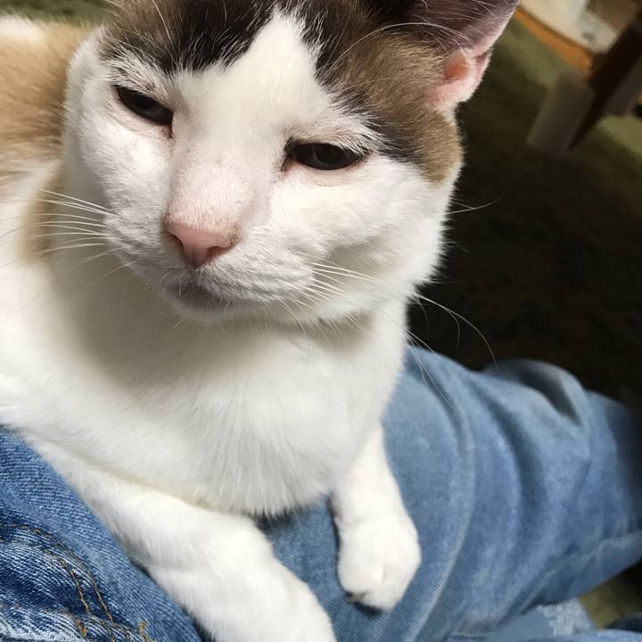 22c1ed09 10ad 4f6d bad8 ecc988bc37ce 1589003618181